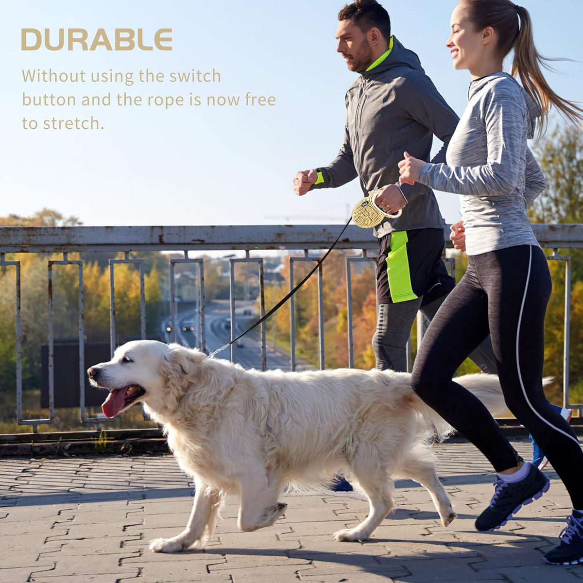 Retractable Dog Leash, Pet Walking Leash with Anti-Slip Handle, Strong Nylon Tape, 360°Tangle-Free, Suitable for Small Medium Dog Cat, Gift Waste Bags Dispenser Included,10 Ft, Gold