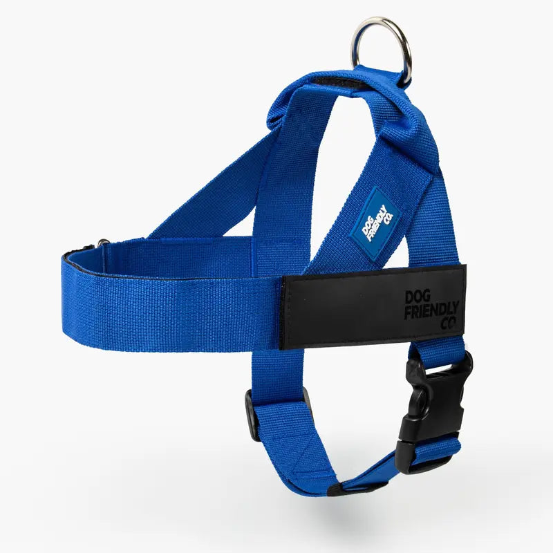 Dog Friendly Co. No-Pull Dog Walking Harness - Choke-Free Design, Padded Comfortable, 1-Click Simple Clip Buckle, Grab-Handle Ease, Chafe-Resistant Adjustable Straps, Lightweight, All-Day Wear, Secure Walks, Multi-Size XXS-XL