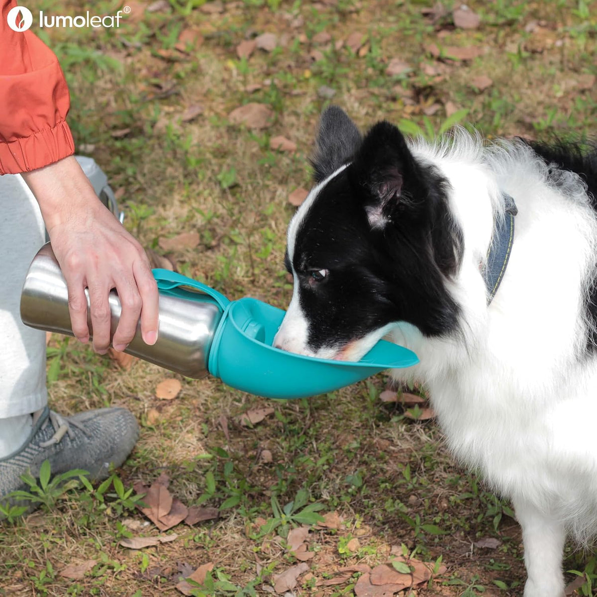 Portable Dog Water Bottle 27 OZ, Stainless Steel Pet Travel Water Bottle Dispenser for Walking, Hiking and Outdoor, Portable Water Bowl for Large Dogs (Blue)