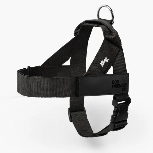Dog Friendly Co. No-Pull Dog Walking Harness - Choke-Free Design, Padded Comfortable, 1-Click Simple Clip Buckle, Grab-Handle Ease, Chafe-Resistant Adjustable Straps, Lightweight, All-Day Wear, Secure Walks, Multi-Size XXS-XL