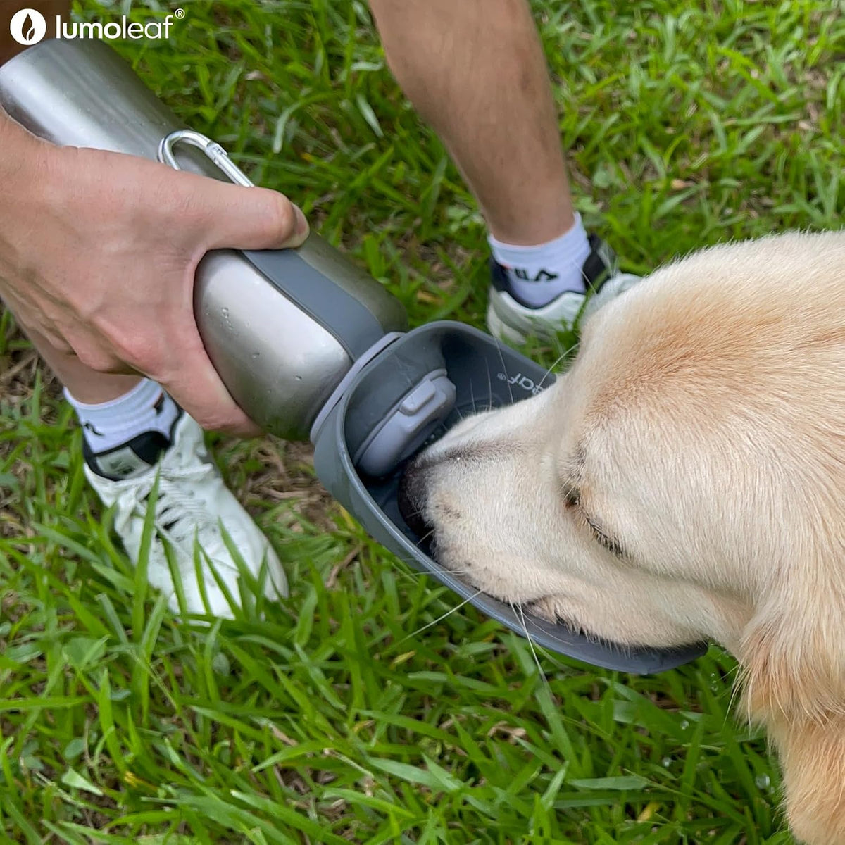 Portable Dog Water Bottle 27 OZ, Stainless Steel Pet Travel Water Bottle Dispenser for Walking, Hiking and Outdoor, Portable Water Bowl for Large Dogs (Grey)