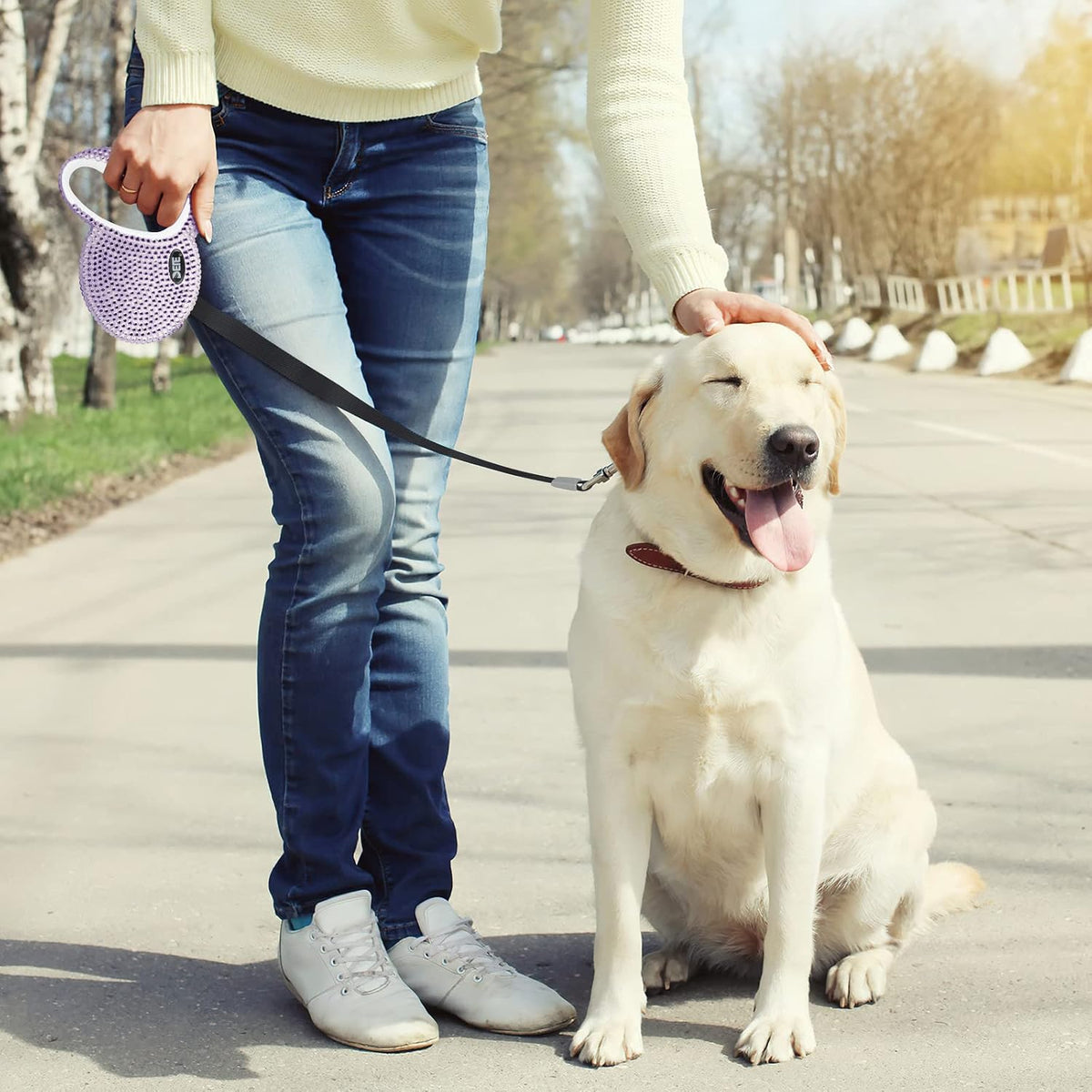 Retractable Dog Leash, Pet Walking Leash with Anti-Slip Handle, Strong Nylon Tape, 360°Tangle-Free, Suitable for Small Medium Dog Cat, Gift Waste Bags Dispenser Included,10 Ft, Purple