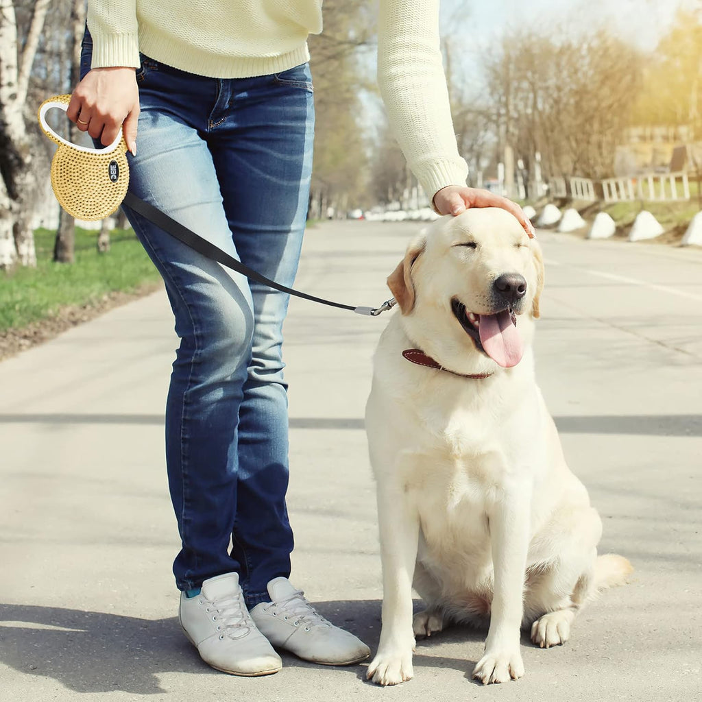 Retractable Dog Leash, Pet Walking Leash with Anti-Slip Handle, Strong Nylon Tape, 360°Tangle-Free, Suitable for Small Medium Dog Cat, Gift Waste Bags Dispenser Included,10 Ft, Gold
