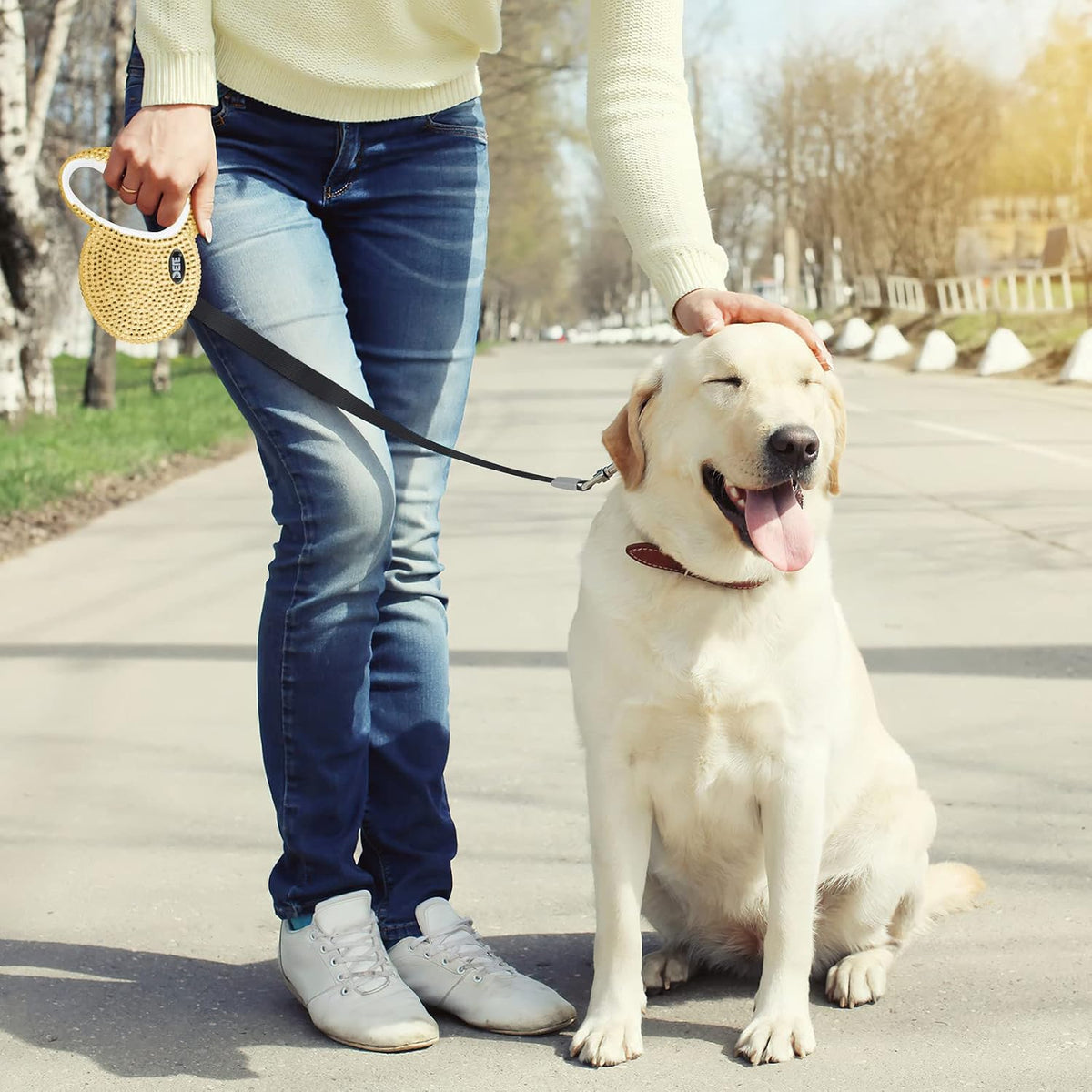 Retractable Dog Leash, Pet Walking Leash with Anti-Slip Handle, Strong Nylon Tape, 360°Tangle-Free, Suitable for Small Medium Dog Cat, Gift Waste Bags Dispenser Included,10 Ft, Gold