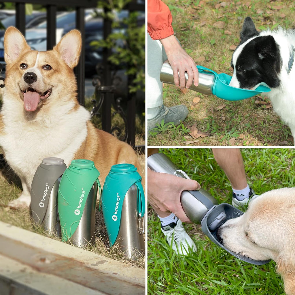 Portable Dog Water Bottle 27 OZ, Stainless Steel Pet Travel Water Bottle Dispenser for Walking, Hiking and Outdoor, Portable Water Bowl for Large Dogs (Grey)